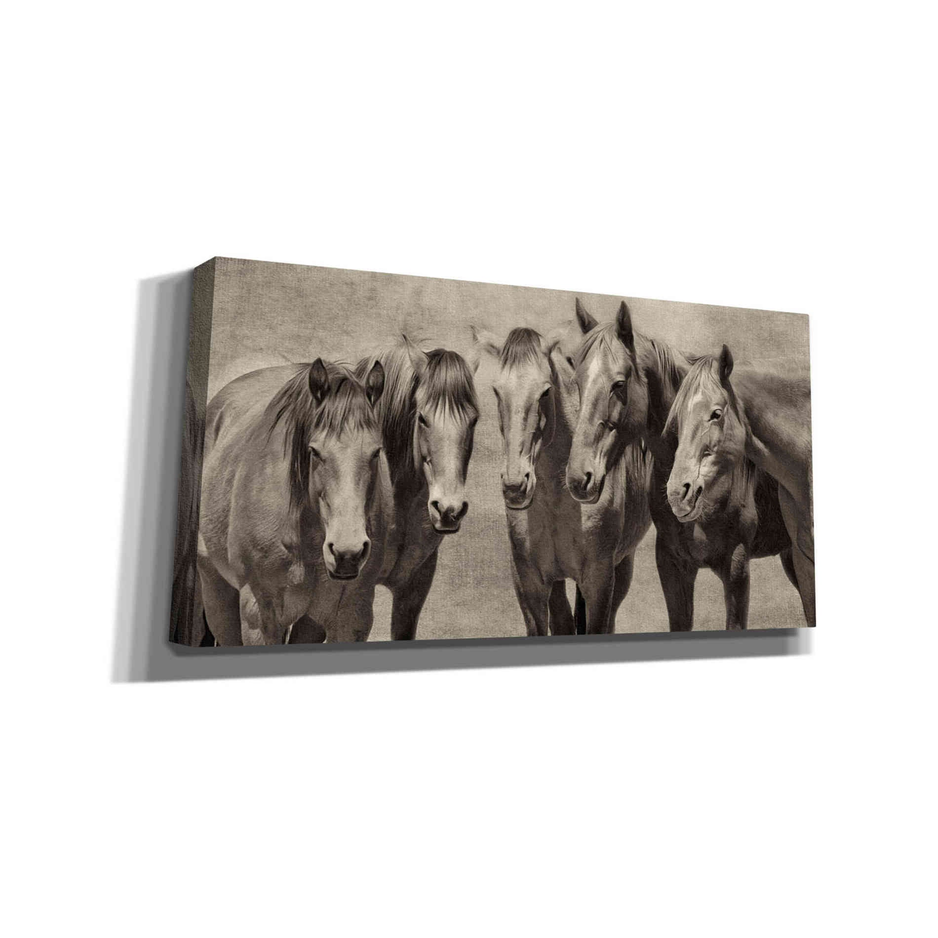 'Meeting of the Minds' by PH Burchett, Canvas Wall Art