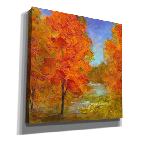 Image of 'Burst of Autumn Color' by Sheila Finch, Canvas Wall Art