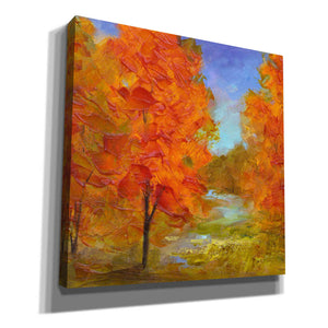 'Burst of Autumn Color' by Sheila Finch, Canvas Wall Art