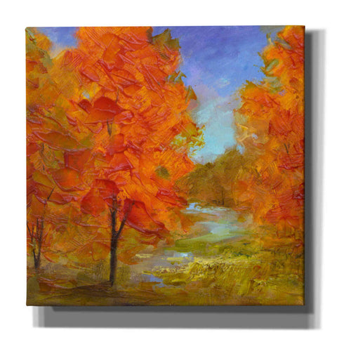 Image of 'Burst of Autumn Color' by Sheila Finch, Canvas Wall Art