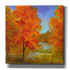 'Burst of Autumn Color' by Sheila Finch, Canvas Wall Art
