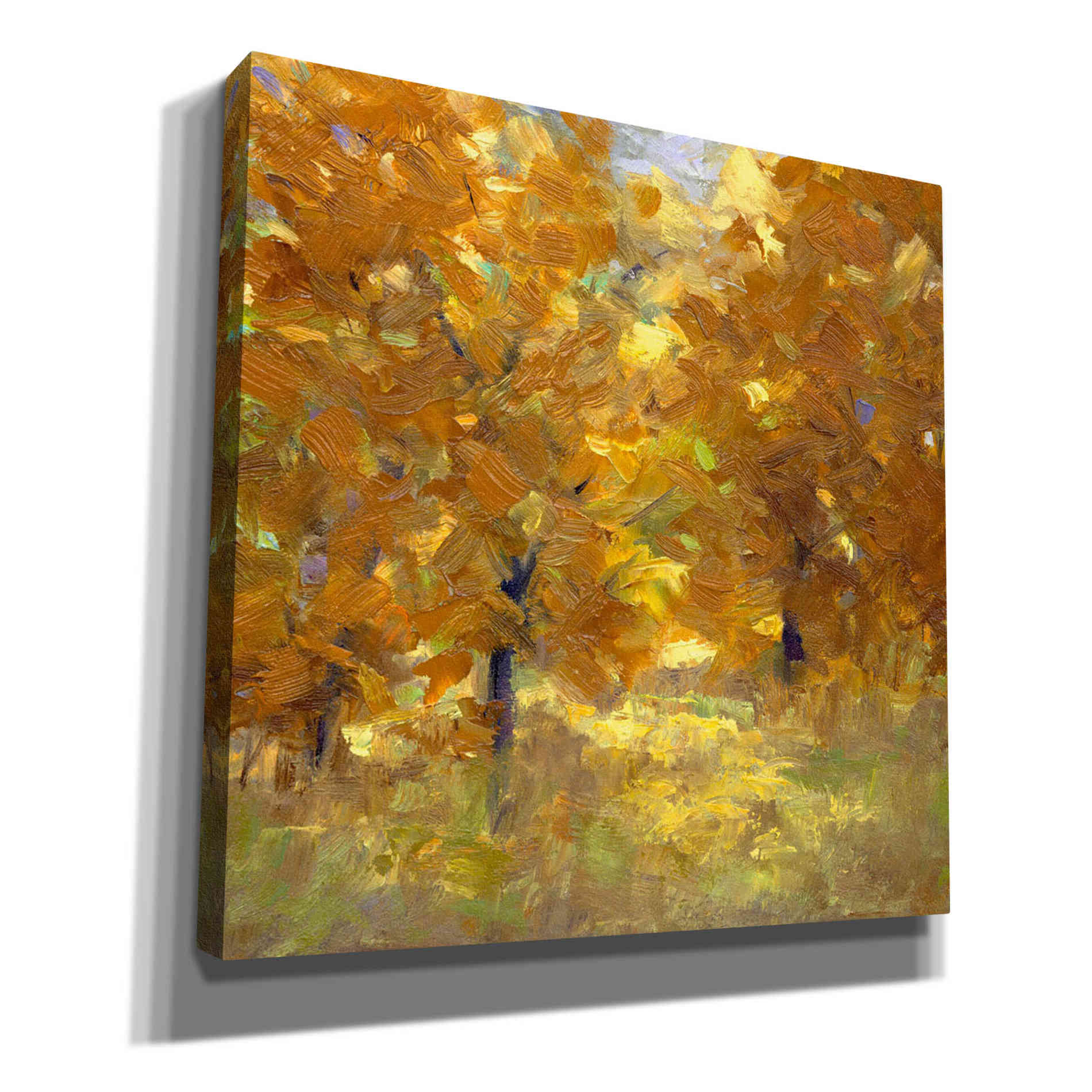 'Cottonwoods' by Sheila Finch, Canvas Wall Art