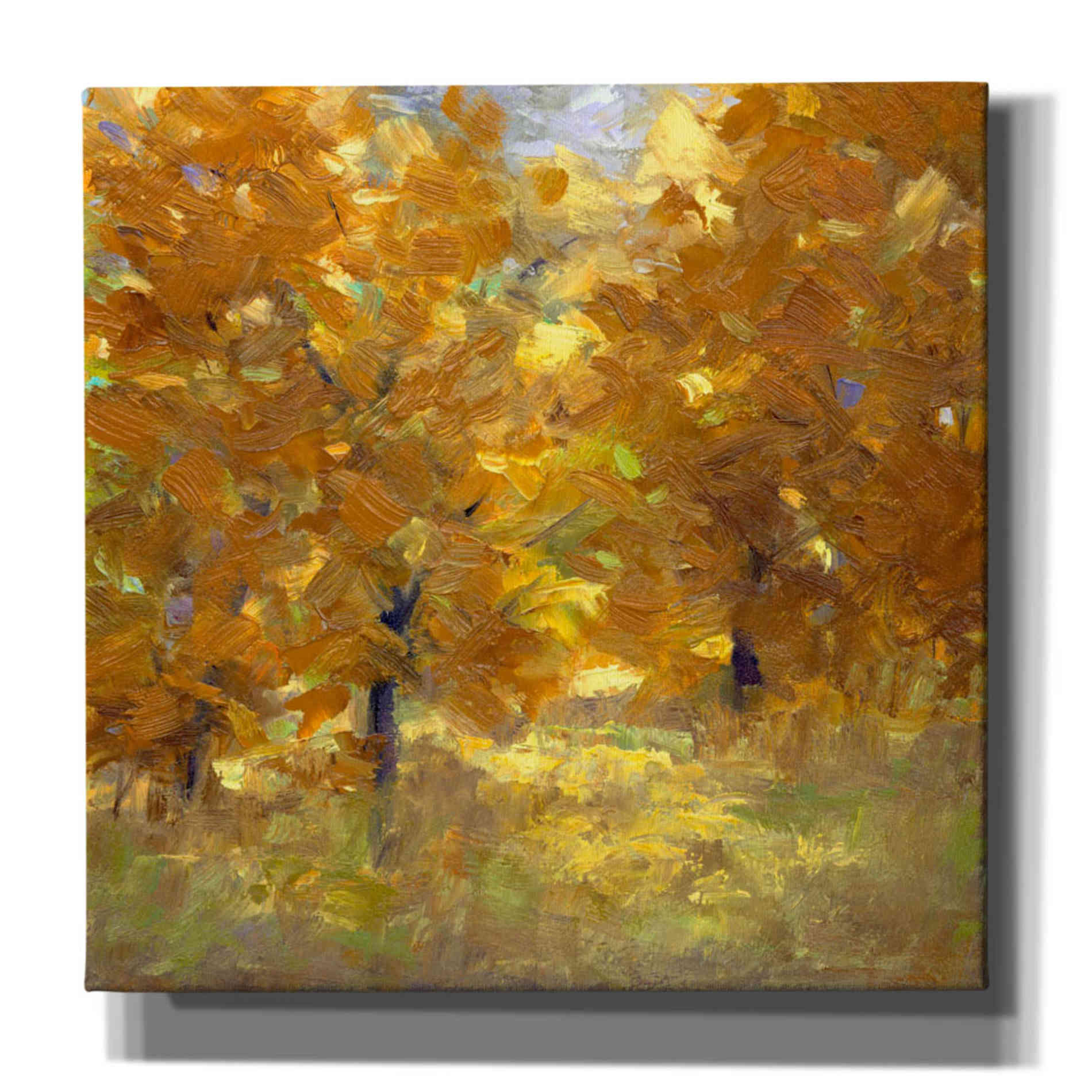 'Cottonwoods' by Sheila Finch, Canvas Wall Art