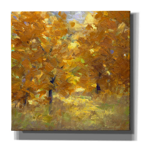 Image of 'Cottonwoods' by Sheila Finch, Canvas Wall Art
