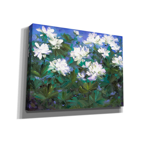 Image of 'Spring Flowers' by Sheila Finch, Canvas Wall Art