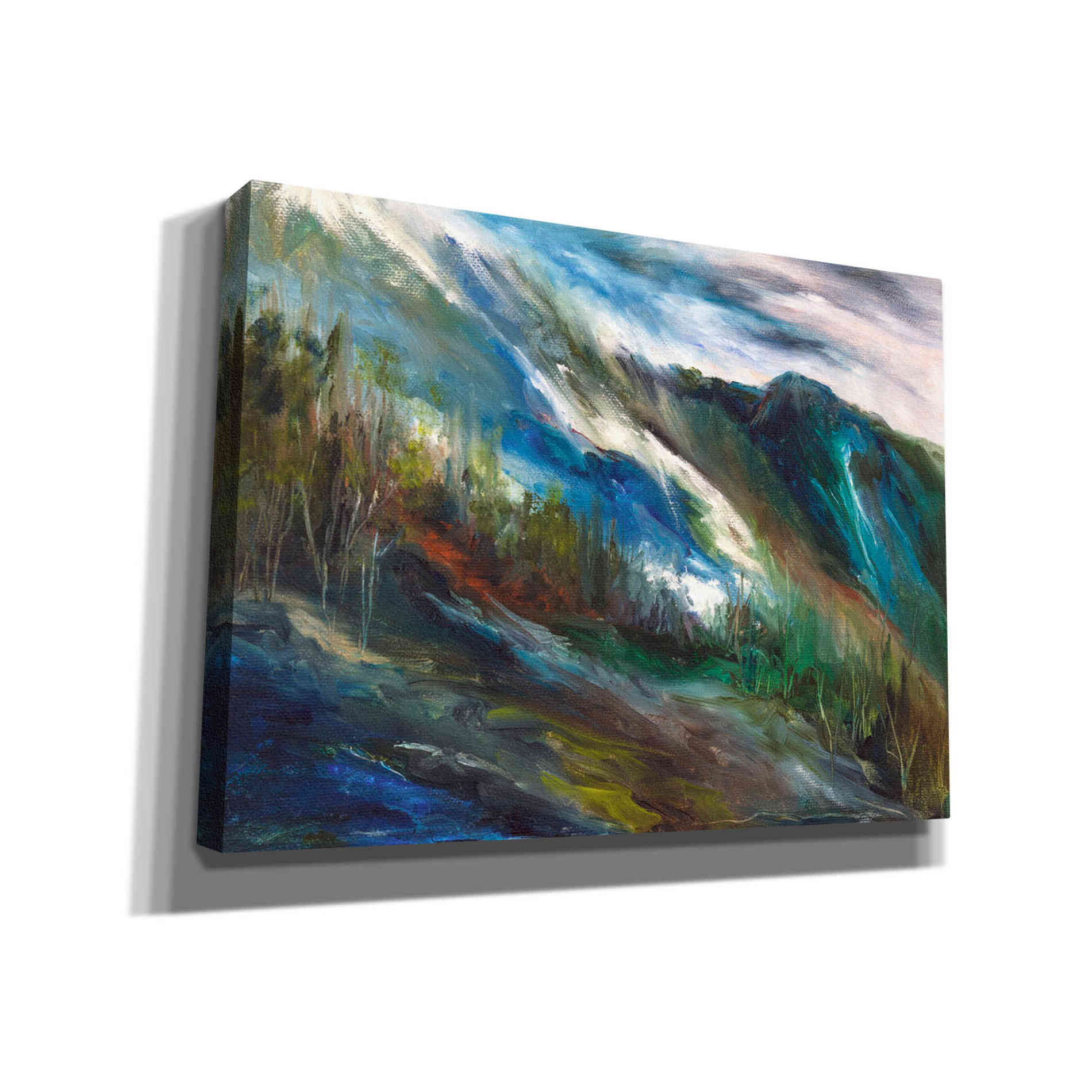 'Sierra Storm' by Sheila Finch, Canvas Wall Art