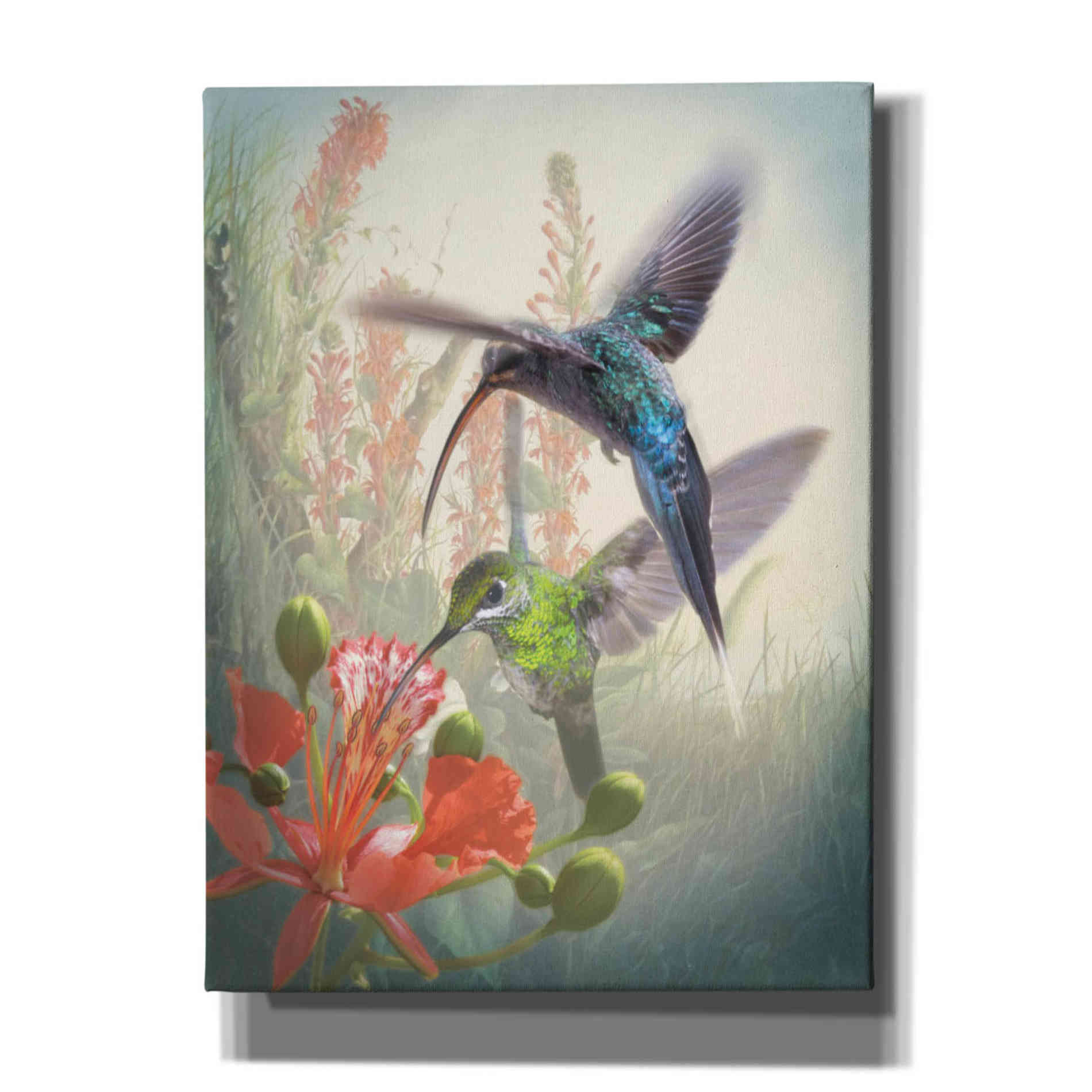 'Hummingbird Cycle I' by Steve Hunziker, Canvas Wall Art