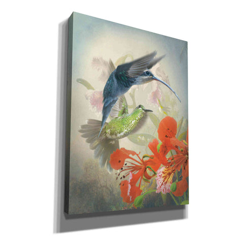 Image of 'Hummingbird Cycle II' by Steve Hunziker, Canvas Wall Art