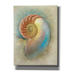 'Aquatica II' by Steve Hunziker, Canvas Wall Art