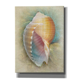 'Aquatica III' by Steve Hunziker, Canvas Wall Art