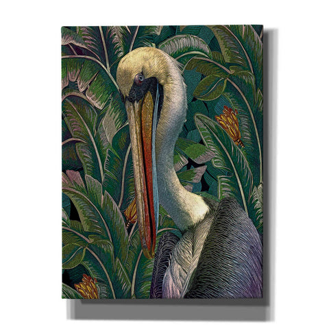Image of 'Primal Pelicana' by Steve Hunziker, Canvas Wall Art