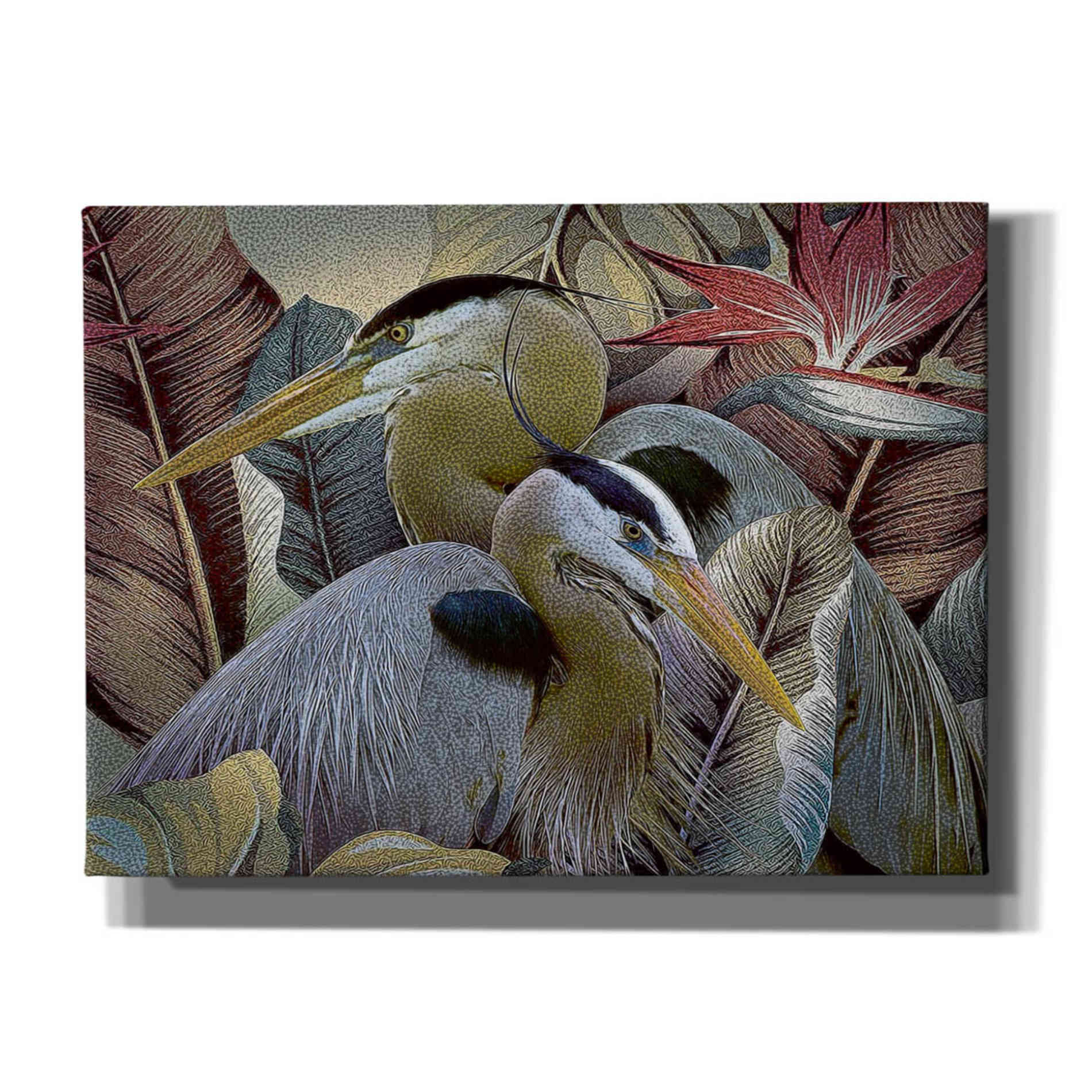 'Two to Tango' by Steve Hunziker, Canvas Wall Art