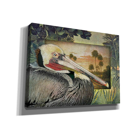Image of 'Pelican Paradise I' by Steve Hunziker, Canvas Wall Art