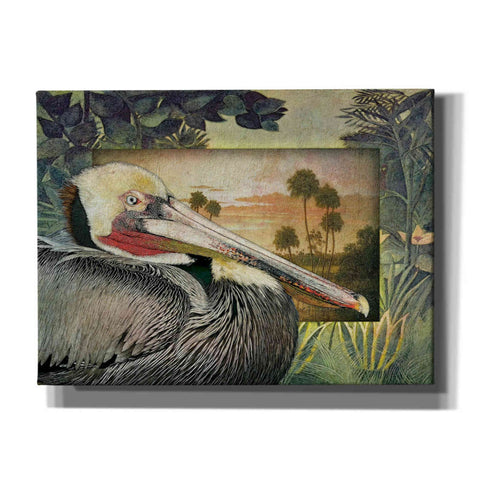 Image of 'Pelican Paradise I' by Steve Hunziker, Canvas Wall Art
