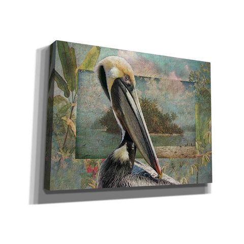Image of 'Pelican Paradise II' by Steve Hunziker, Canvas Wall Art