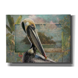 'Pelican Paradise II' by Steve Hunziker, Canvas Wall Art
