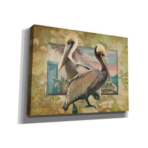 Image of 'Pelican Paradise IV' by Steve Hunziker, Canvas Wall Art
