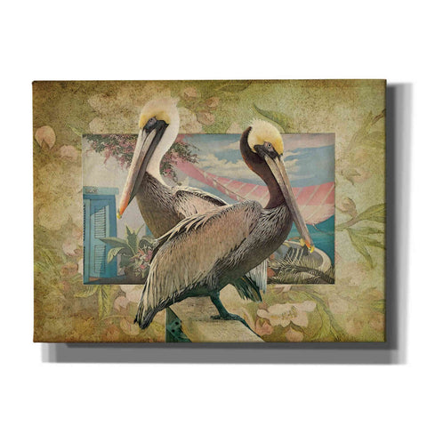 Image of 'Pelican Paradise IV' by Steve Hunziker, Canvas Wall Art
