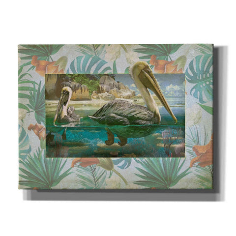 Image of 'Pelican Paradise V' by Steve Hunziker, Canvas Wall Art