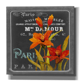 'Chalkboard Paris Collection C' by Studio W, Canvas Wall Art