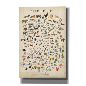 'Tree of Life' by Studio W, Canvas Wall Art