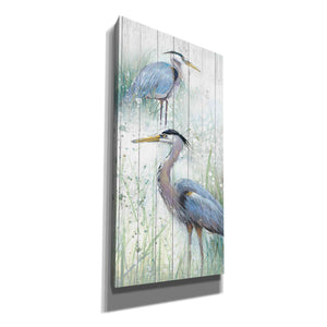 'Seaside Heron Pair II' by Studio W, Canvas Wall Art