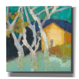 'Avoca Barn' by Sue Jachimiec, Canvas Wall Art