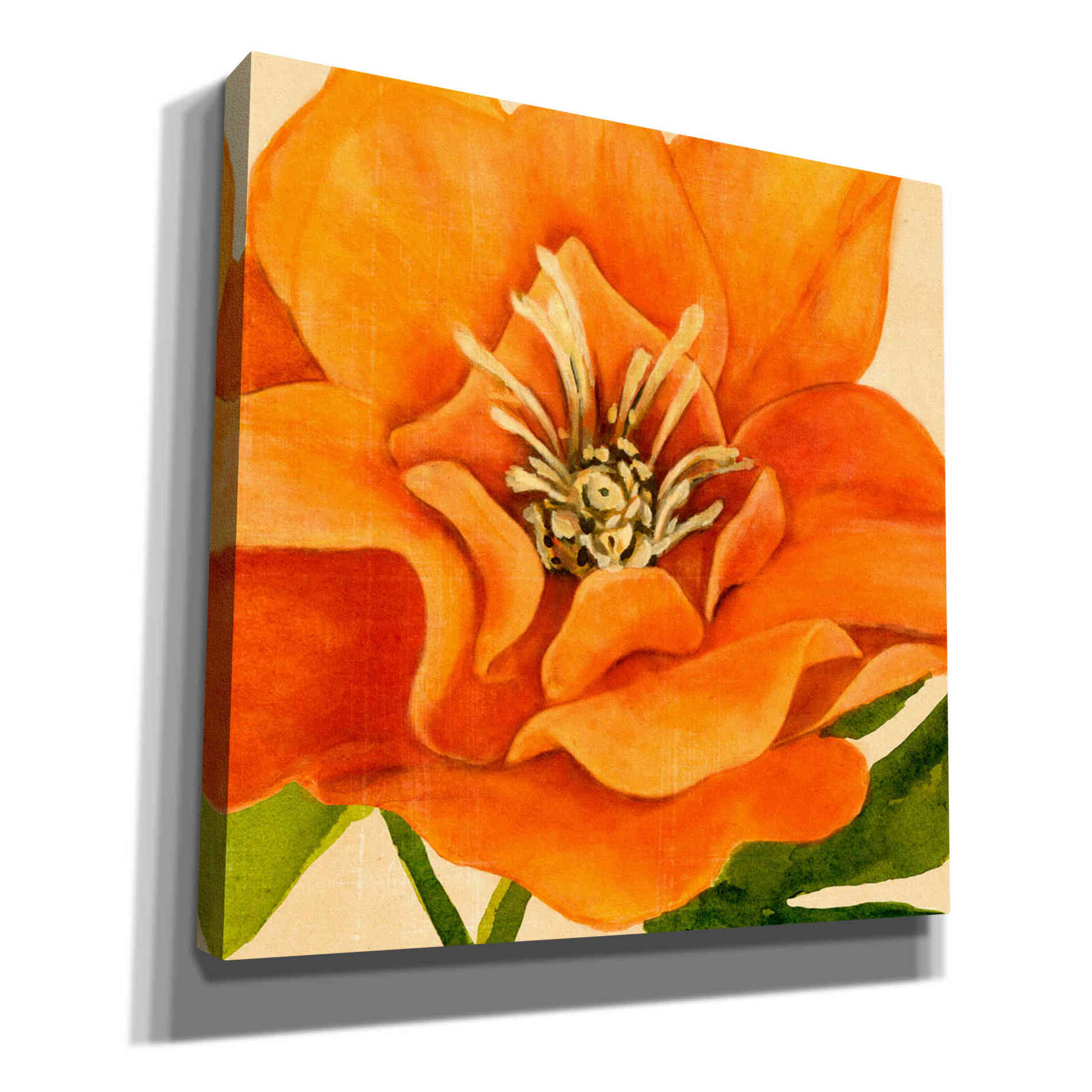 'Copper Petals II' by Annie Warren, Canvas Wall Art