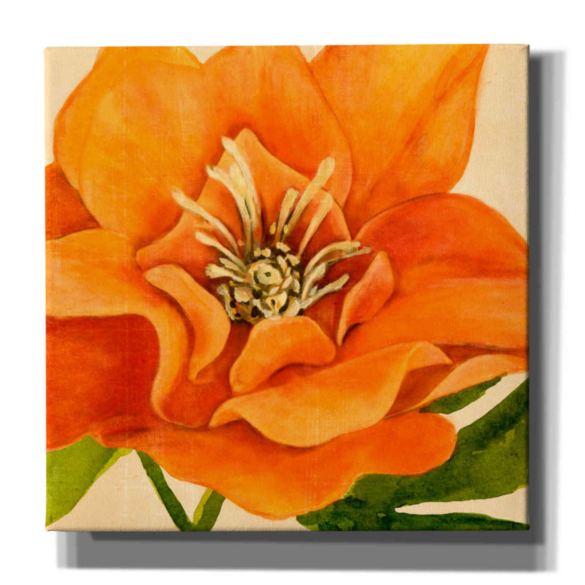 'Copper Petals II' by Annie Warren, Canvas Wall Art