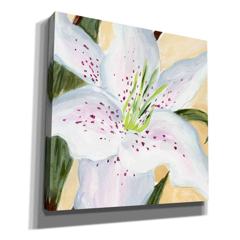 Image of 'White Lily I' by Annie Warren, Canvas Wall Art
