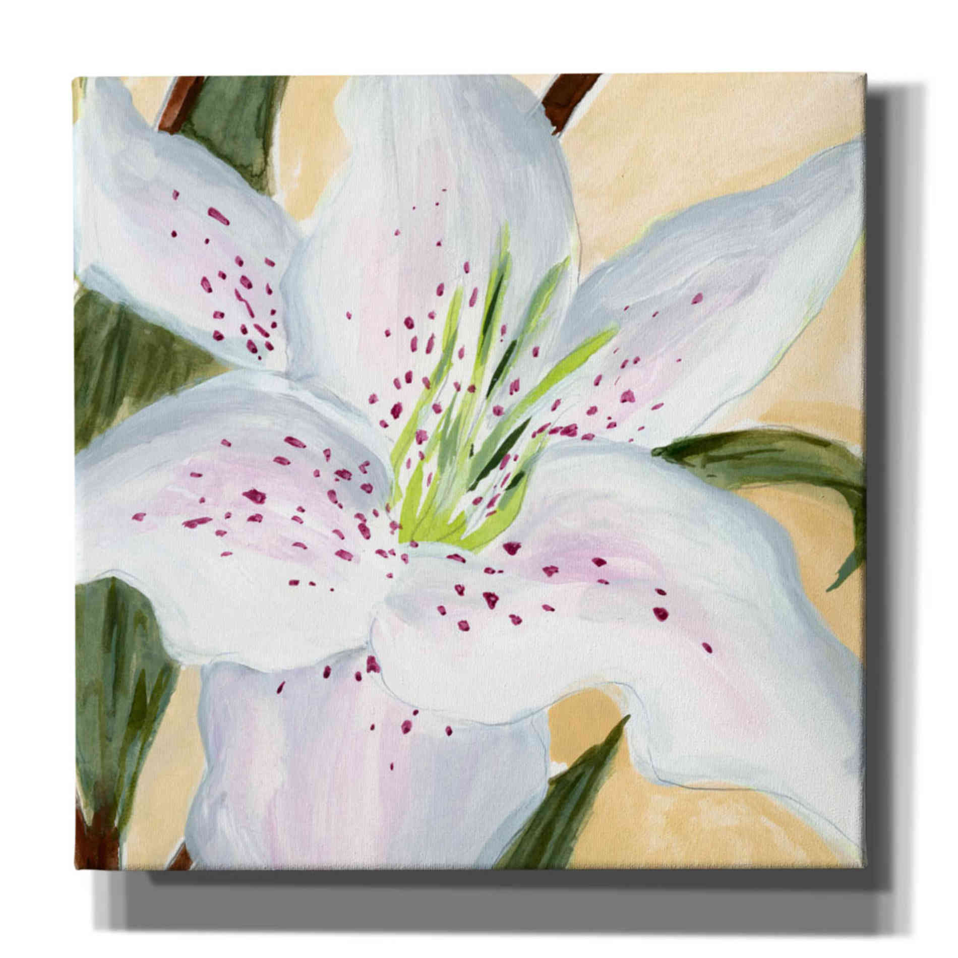 'White Lily I' by Annie Warren, Canvas Wall Art