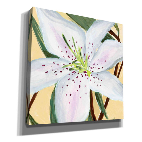Image of 'White Lily II' by Annie Warren, Canvas Wall Art