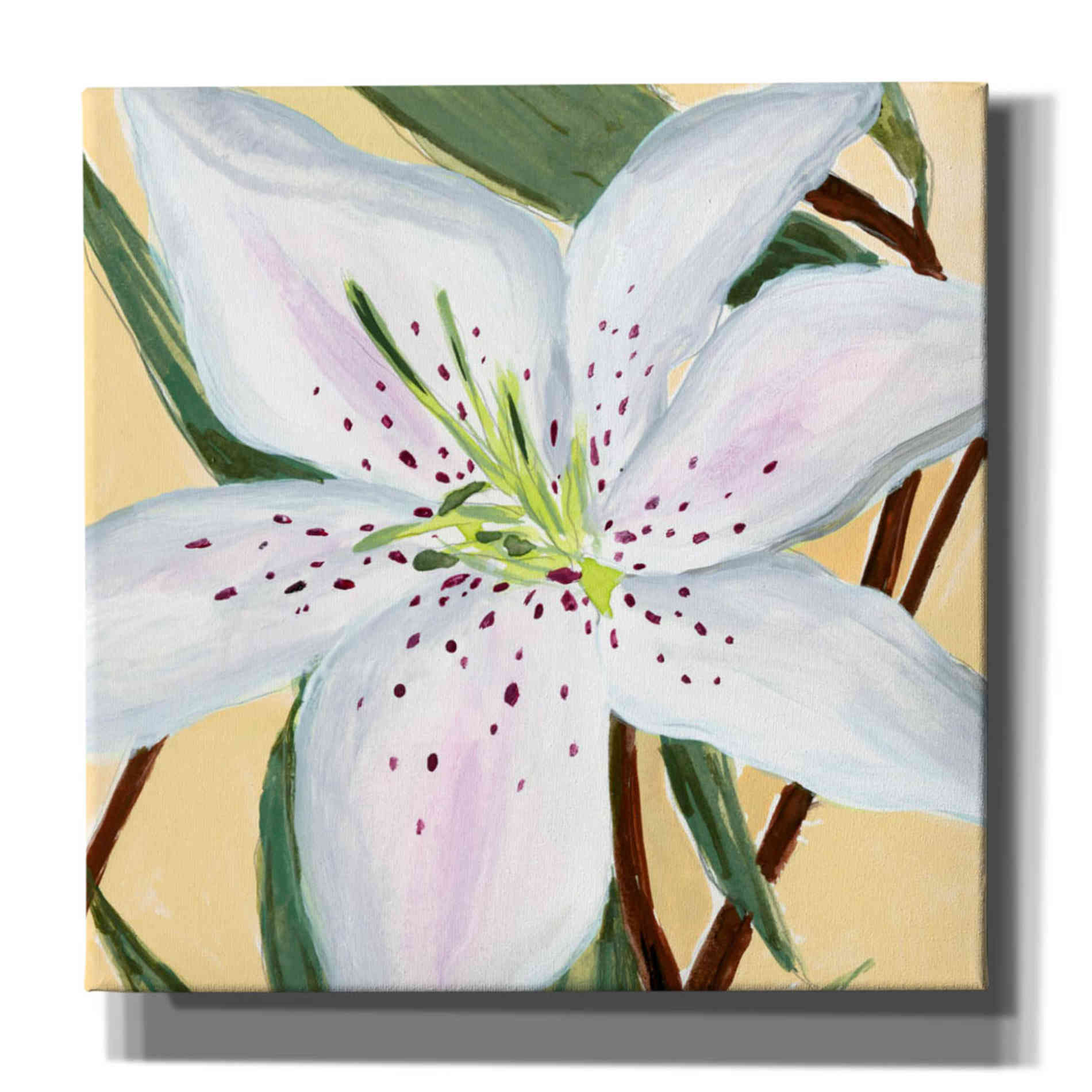 'White Lily II' by Annie Warren, Canvas Wall Art
