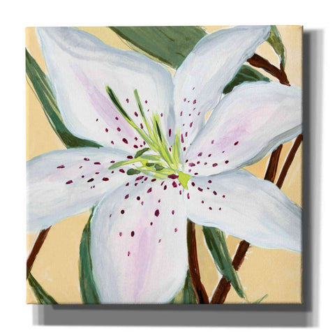 Image of 'White Lily II' by Annie Warren, Canvas Wall Art
