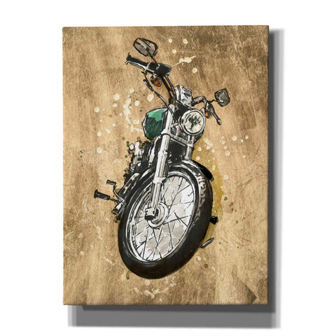 Image of 'Metallic Rider II' by Annie Warren, Canvas Wall Art