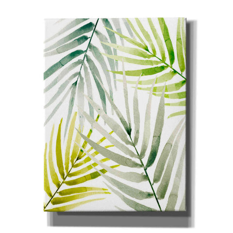 Image of 'Shady Palm I' by Annie Warren, Canvas Wall Art