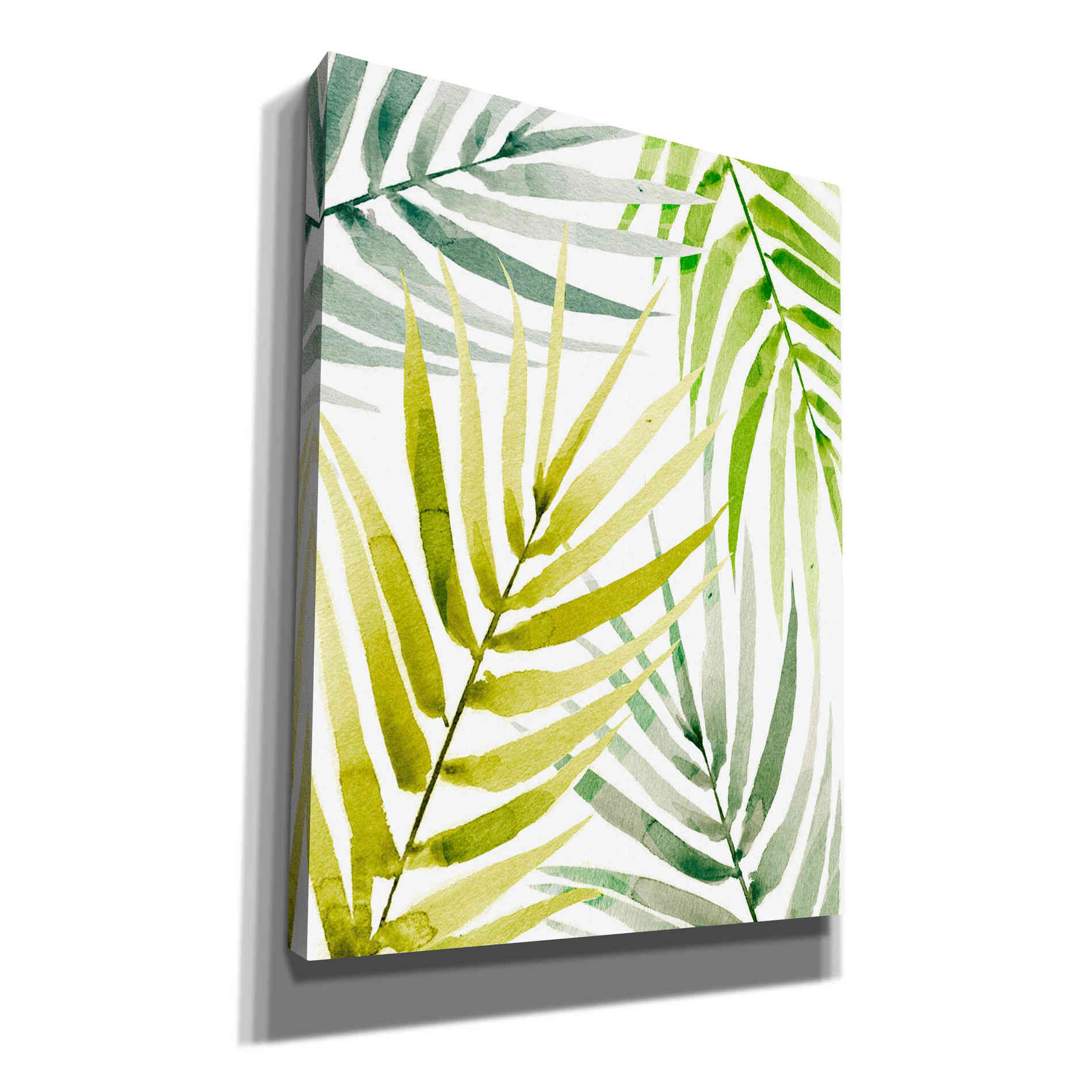 'Shady Palm II' by Annie Warren, Canvas Wall Art