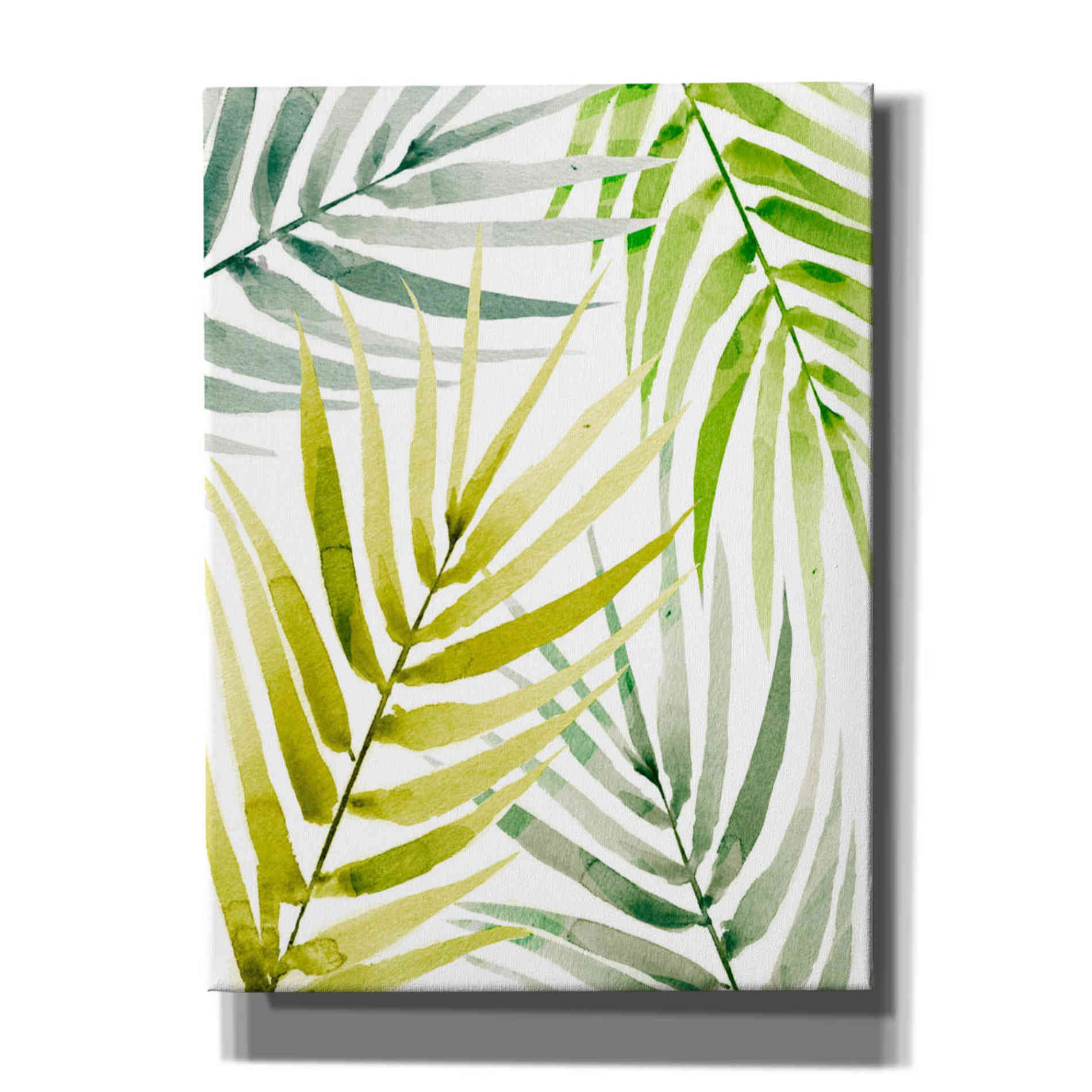 'Shady Palm II' by Annie Warren, Canvas Wall Art