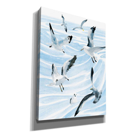 Image of 'Seagull Soiree II' by Annie Warren, Canvas Wall Art