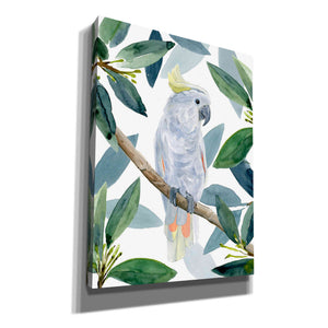 'Cockatoo Perch I' by Annie Warren, Canvas Wall Art