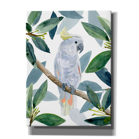 Image of 'Cockatoo Perch I' by Annie Warren, Canvas Wall Art