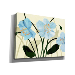 'Blue Poppies I' by Annie Warren, Canvas Wall Art