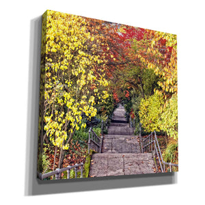 'Autumn Tunnel' by Colby Chester, Canvas Wall Art