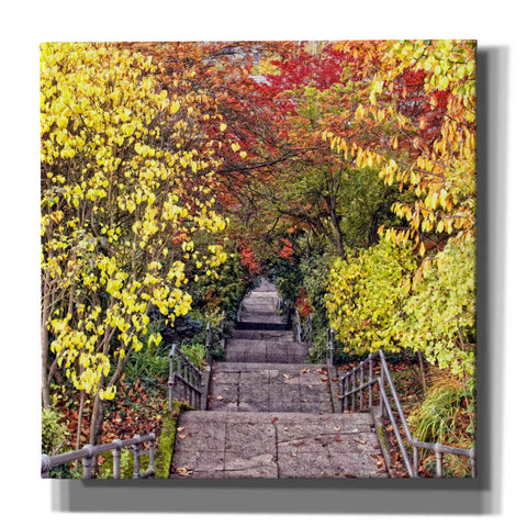 Image of 'Autumn Tunnel' by Colby Chester, Canvas Wall Art