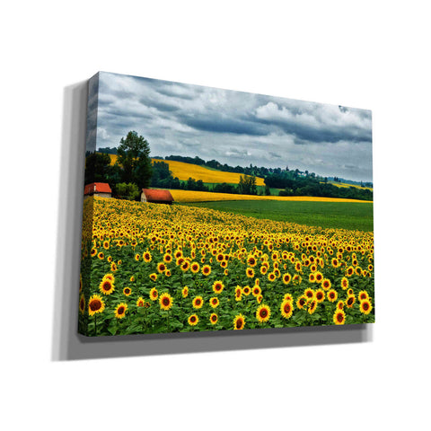 Image of 'Pastoral Countryside IV' by Colby Chester, Canvas Wall Art