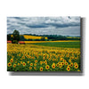 'Pastoral Countryside IV' by Colby Chester, Canvas Wall Art