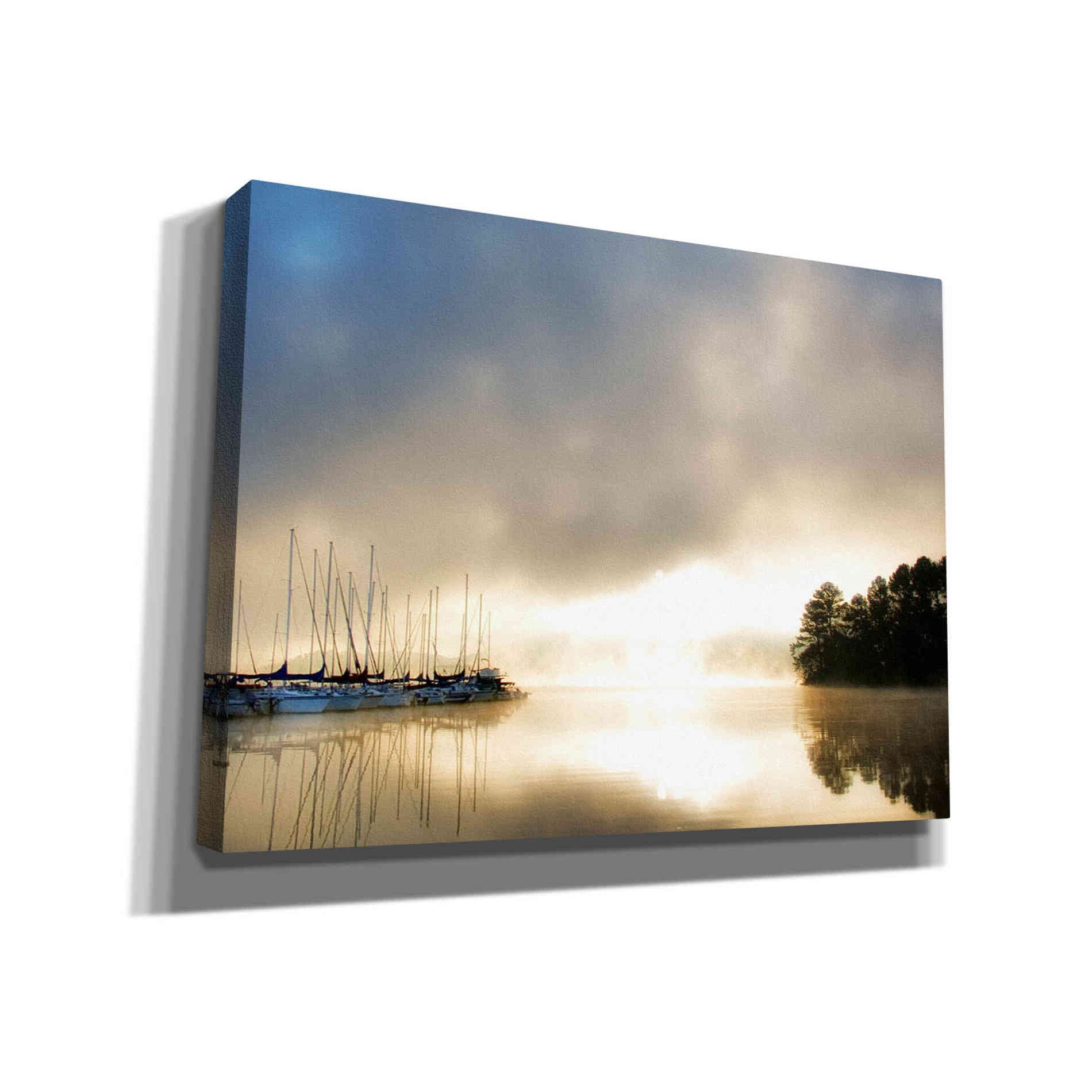 'Breaking Through I' by Danny Head, Canvas Wall Art