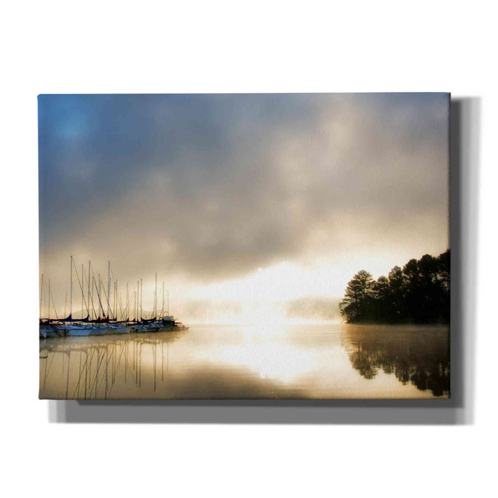 'Breaking Through I' by Danny Head, Canvas Wall Art