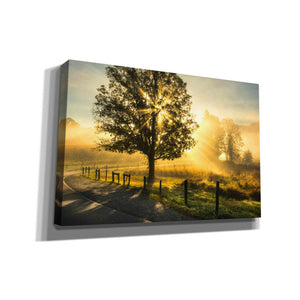'Wake Up Call' by Danny Head, Canvas Wall Art