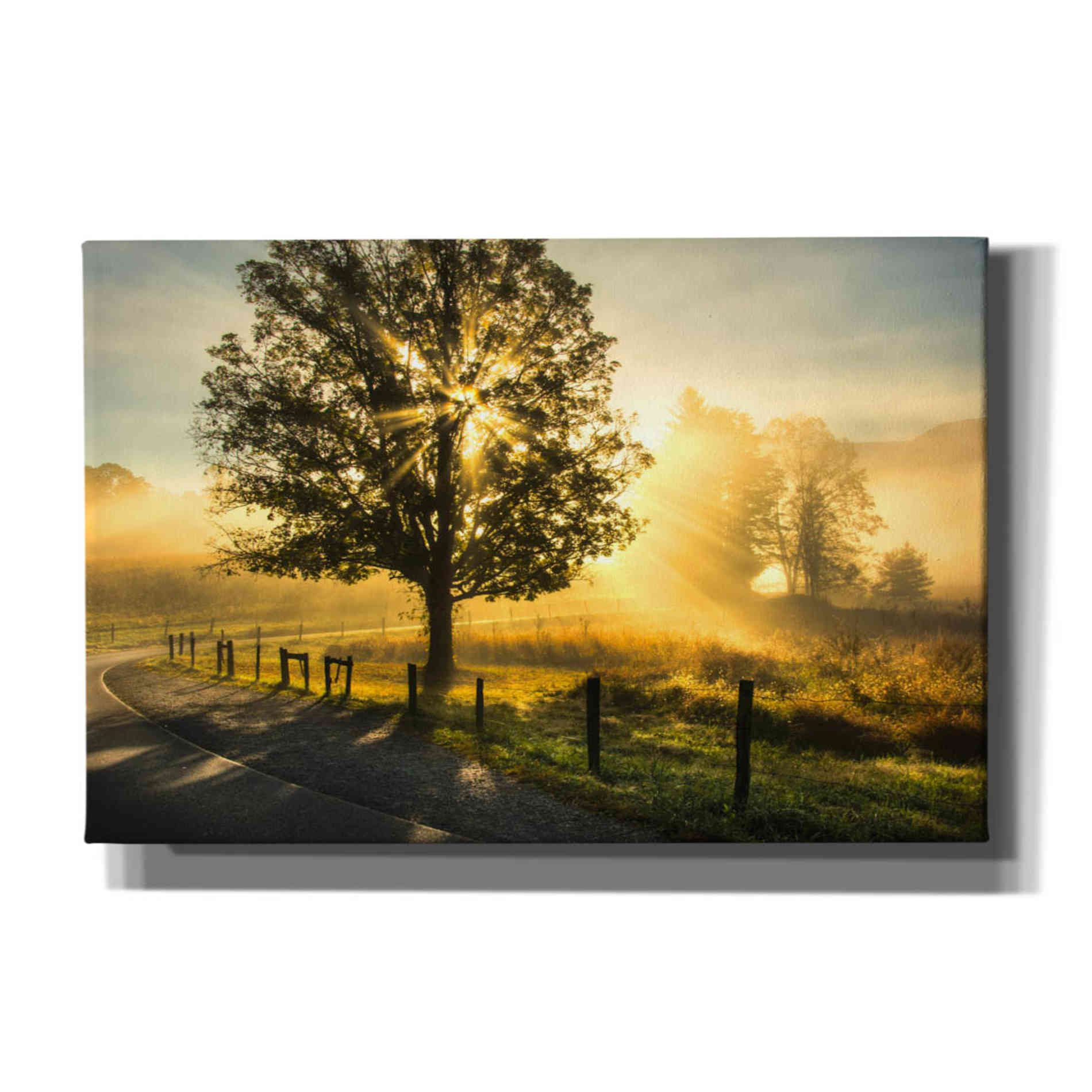 'Wake Up Call' by Danny Head, Canvas Wall Art